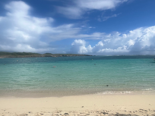 Tarzan Excursion Guadeloupe-Sainte-Anne必去景点