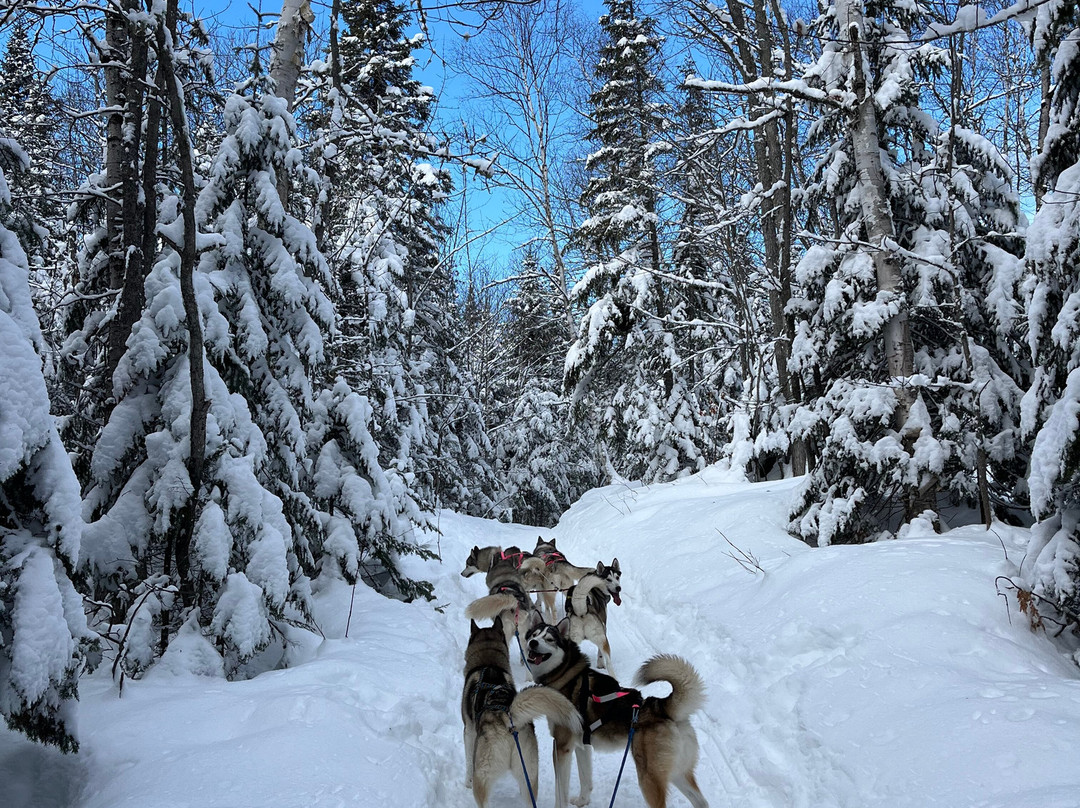 La Reine et le Millionnaire-Baie-St-Paul必去景点