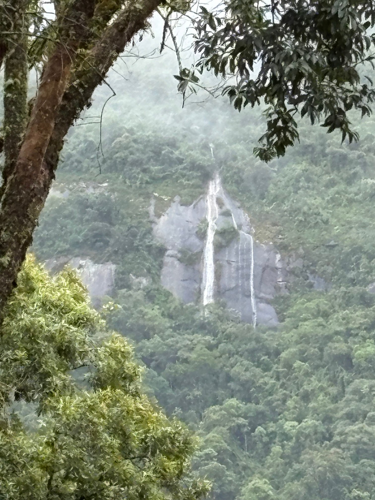 Kuriuwa Hotel-官方