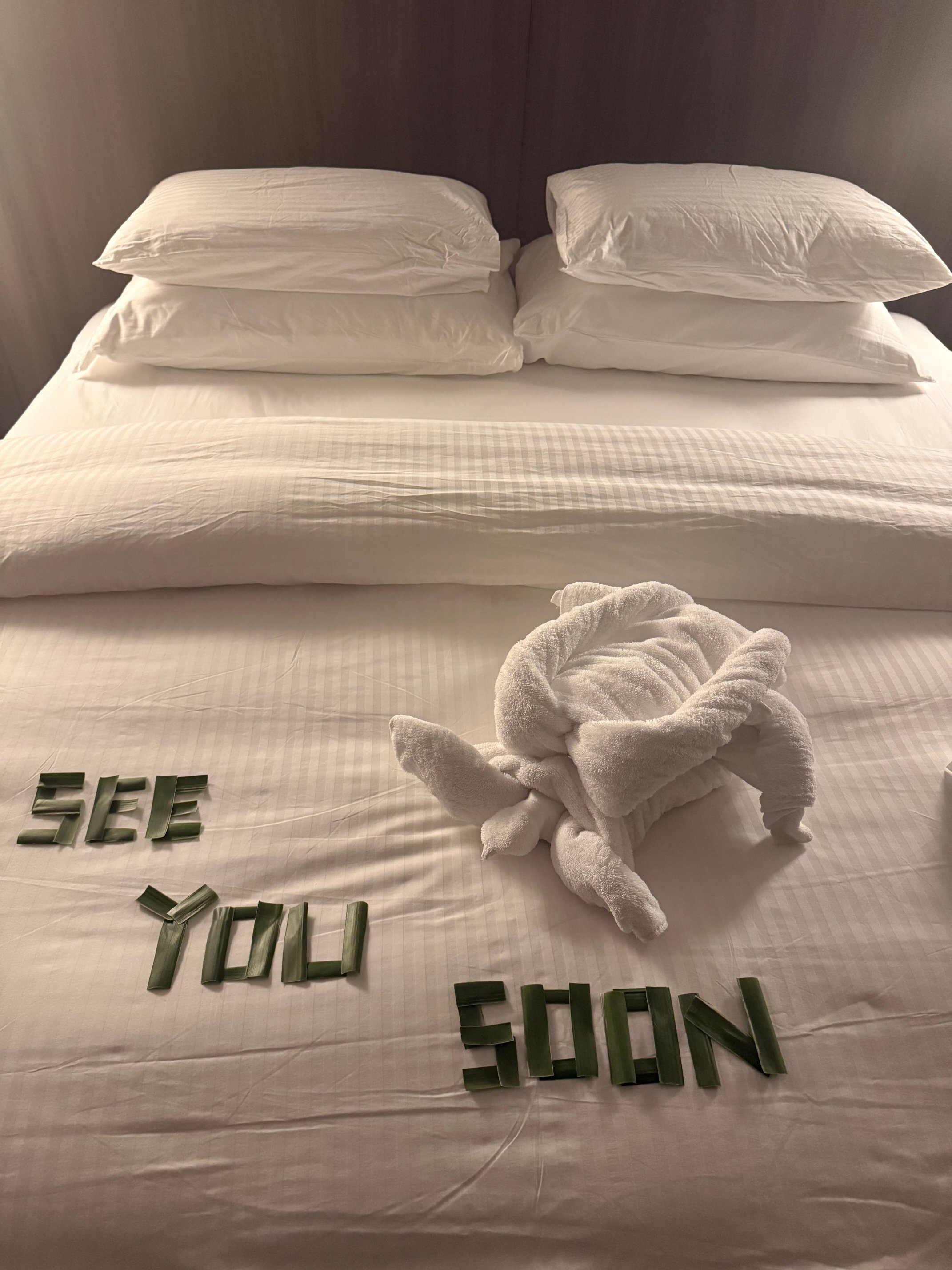 Madifushi Private Island-客卧