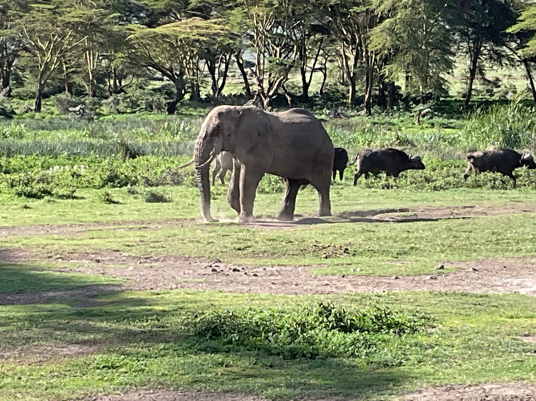 East Africa Adventure Tours and Safaris-马赛马拉国家野生动物保护区必去景点