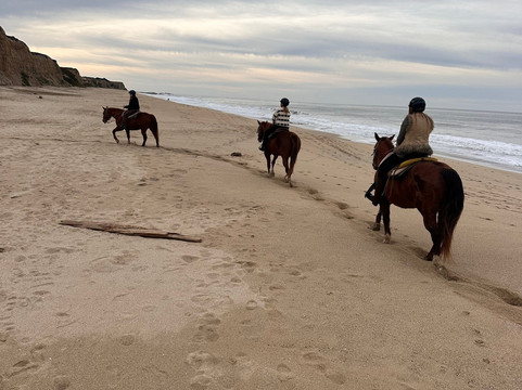 Sea Horse Ranch-半月湾必去景点