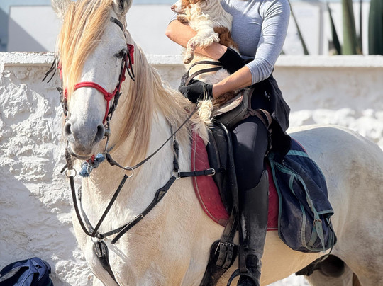 Cheval Essaouira-索维拉必去景点