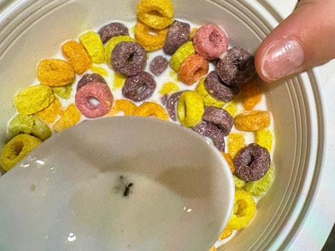 Stone Gate Inn主图