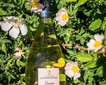 Champagne De Barfontarc-Baroville必去景点