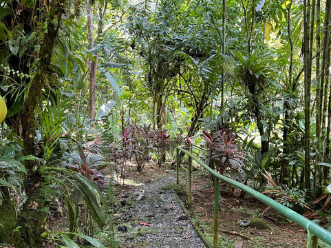 Waterfall Of Ojochal