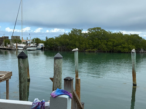 Conch Key Fishing Lodge & Marina