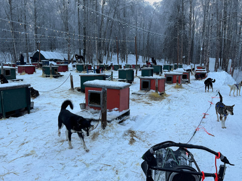 Snowhook Adventure Guides of Alaska-Willow必去景点