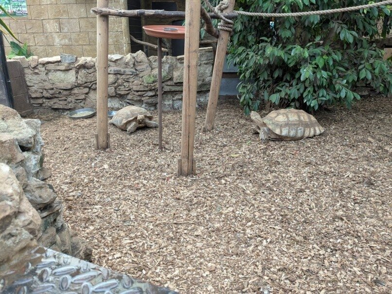 Amazon World Zoo Park-桑当必去景点