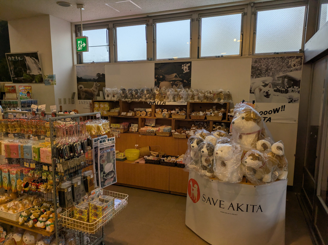 Kisakata Michi-no-Eki Nemu no Oka-仁贺保市必去景点