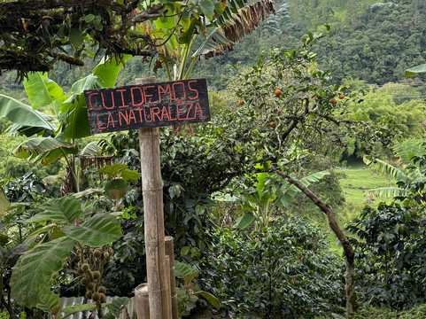 Finca Cafetera Don Elias-萨伦托必去景点