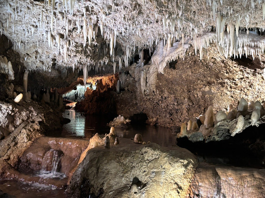 Harrison's Cave Eco-Adventure Park-Saint Thomas Parish必去景点