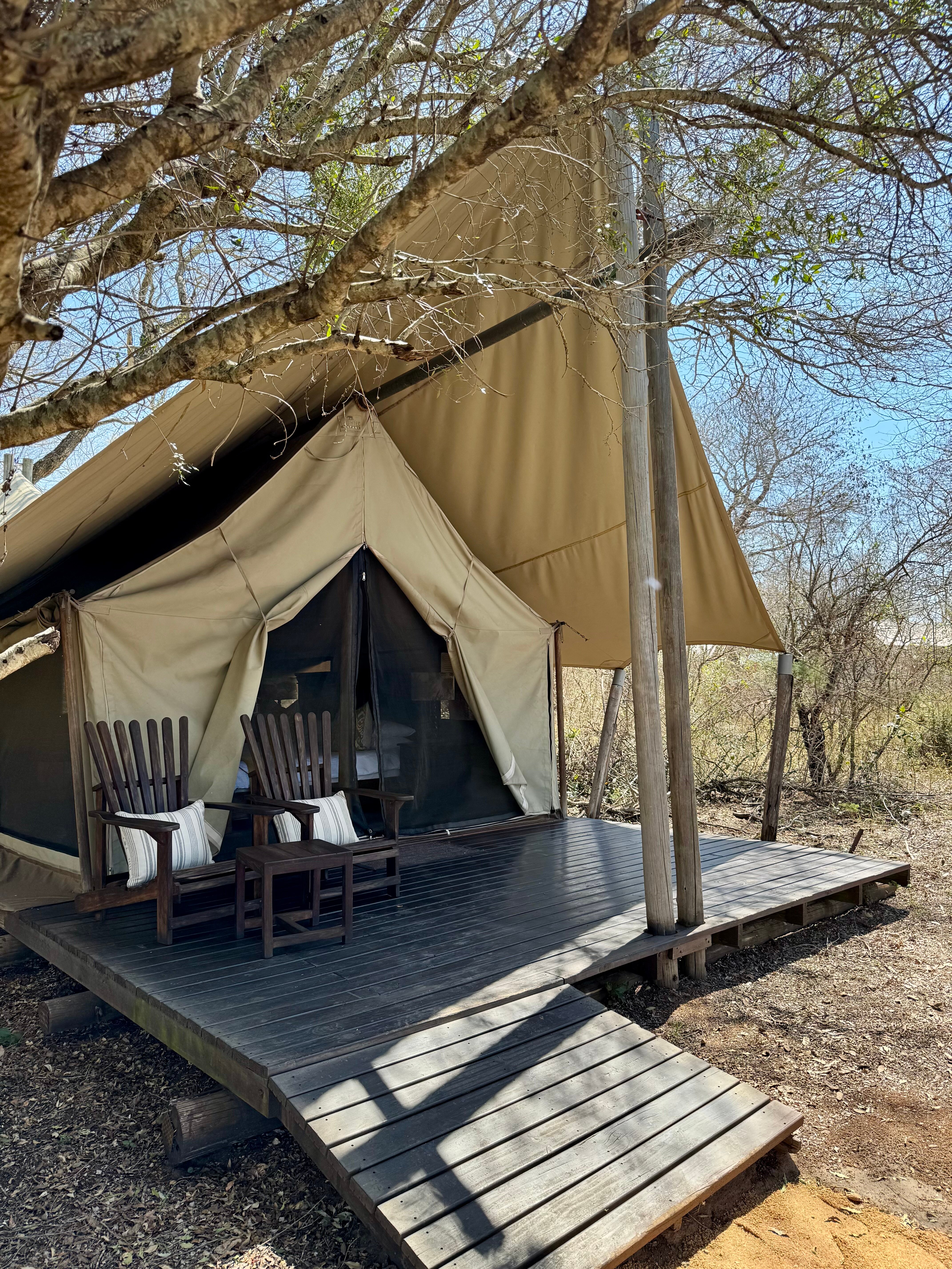 丛林漫步之旅酒店-客卧