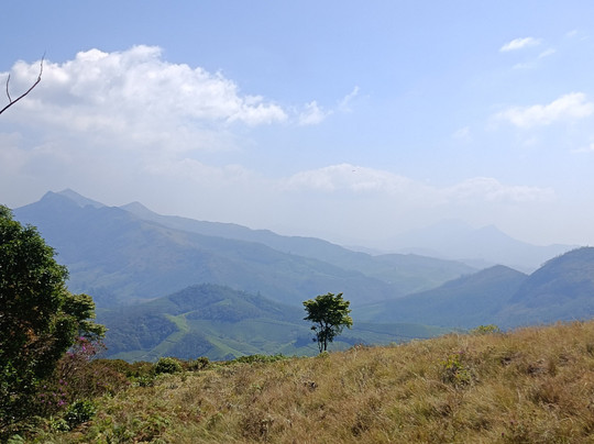 Kerala Taxis-柯钦必去景点