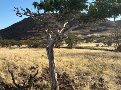 特威菲尔泉-达马拉兰必去景点