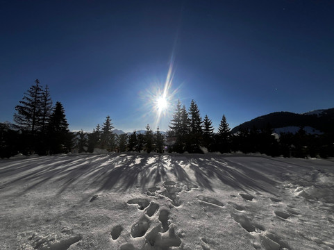 Grand Hotel Belushi主图