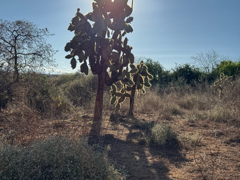 Surtrek-基多必去景点