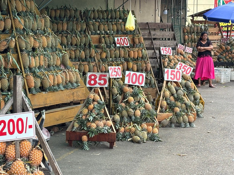 Raju-Tours-Sri Lanka-克拉必去景点