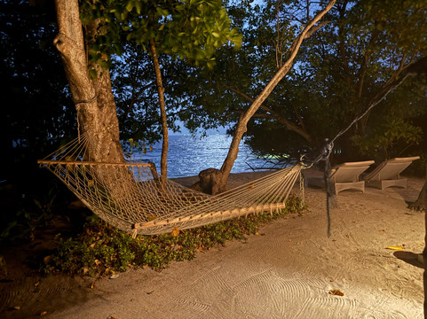 马尔代夫杜斯特塔尼主图