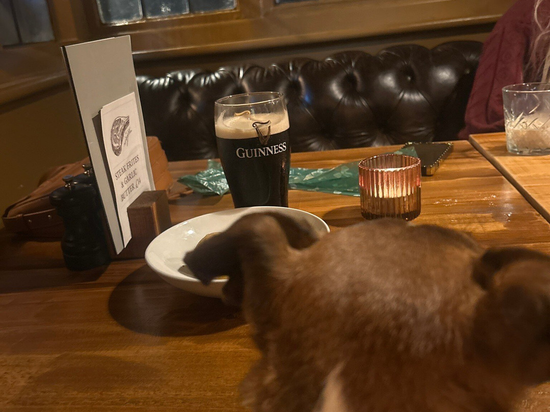 West Knighton餐馆和美食-The Springhead