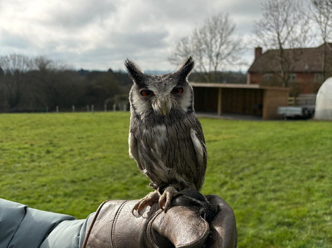 Rutland Outdoor Pursuits-Cottesmore必去景点