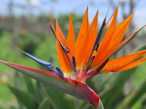 Eco Parque Conscientia Universallis-莱瓦镇必去景点