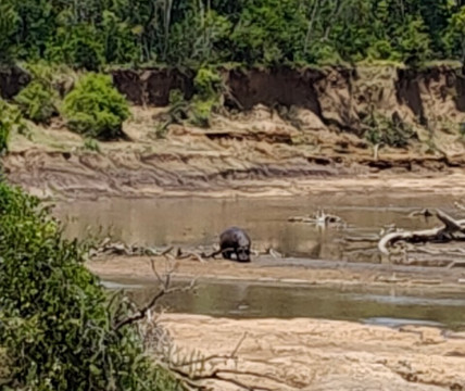 Destinex Travels-内罗毕必去景点