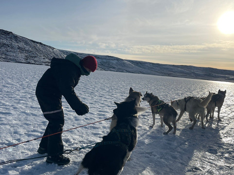 Dogsledding Iceland-莫斯费德斯拜尔必去景点