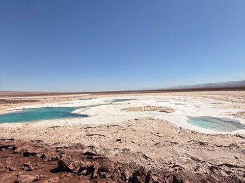 Lagunas Baltinache-圣佩德罗-德阿塔卡马必去景点