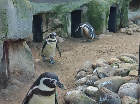 Sea Life Blankenberge-布朗肯堡必去景点