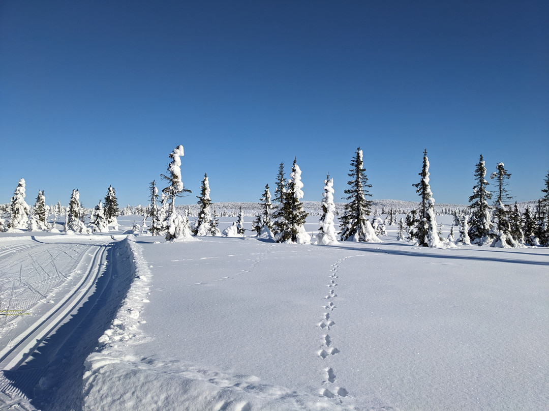 Aktiv I Natur Skiskole-利勒哈默尔必去景点