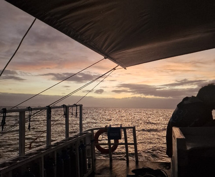 妈妈拍丝瓜岛维达海滩潜水中心-妈妈拍丝瓜岛必去景点