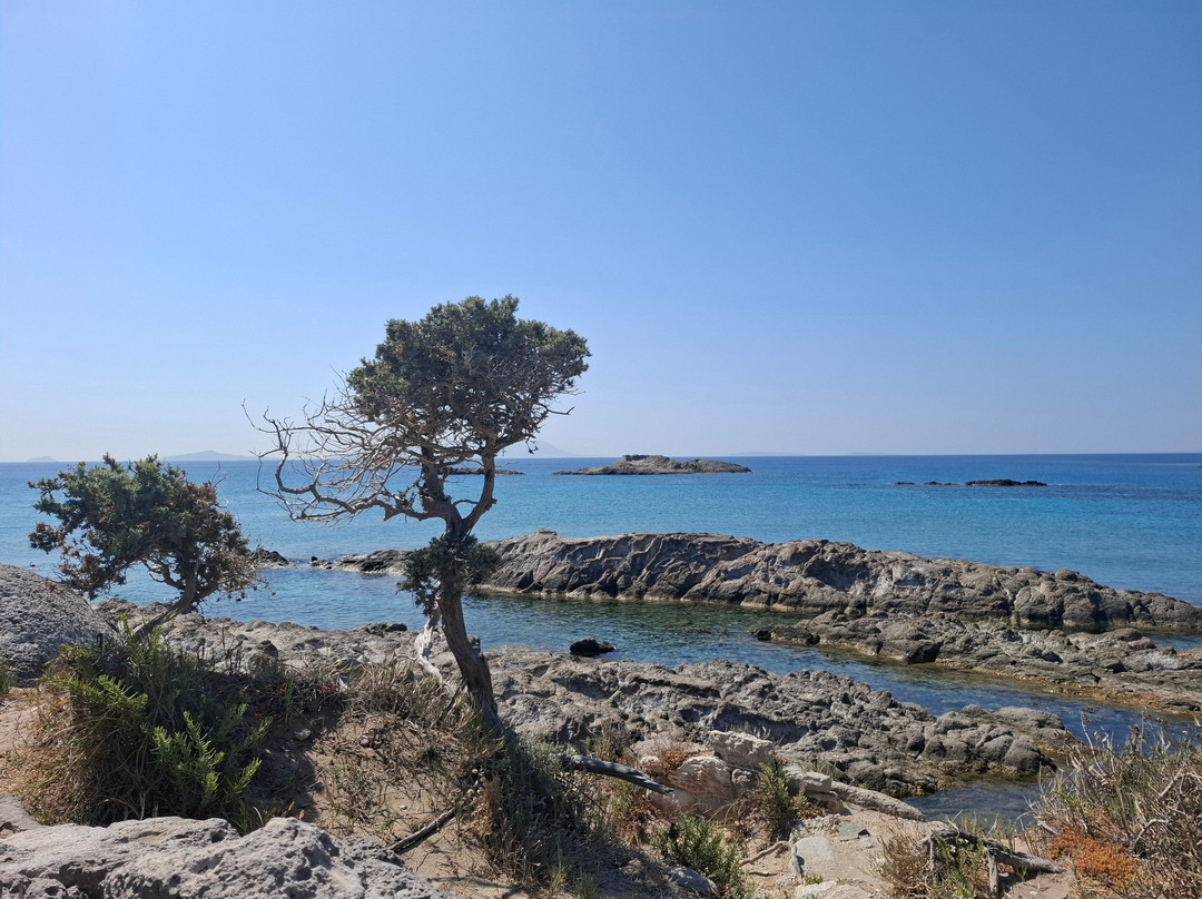 Agios Stefanos Beach-凯法洛斯必去景点