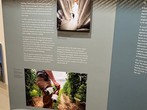 Wagner Vineyards-Lodi必去景点