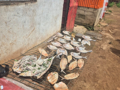 Marco do Equador-Ilhéu Das Rolas必去景点