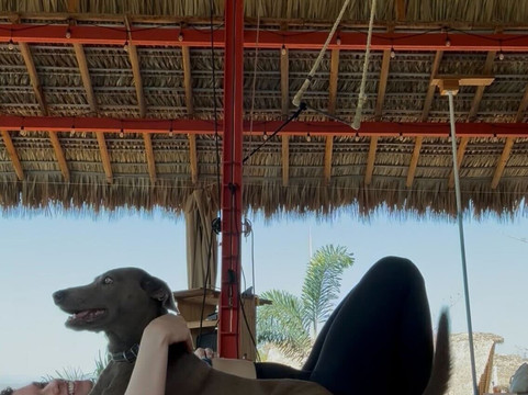 Sweet Retreats Casa Chango-埃斯孔迪多港必去景点