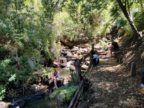 Termas De Queñi-圣马丁德洛斯安第斯必去景点