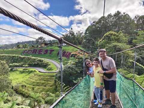 大希莱恩森林公园度假村主图