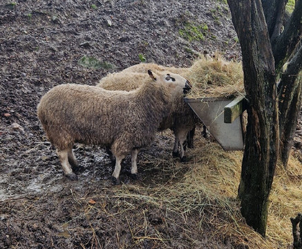Aston Springs Farm-罗瑟勒姆必去景点