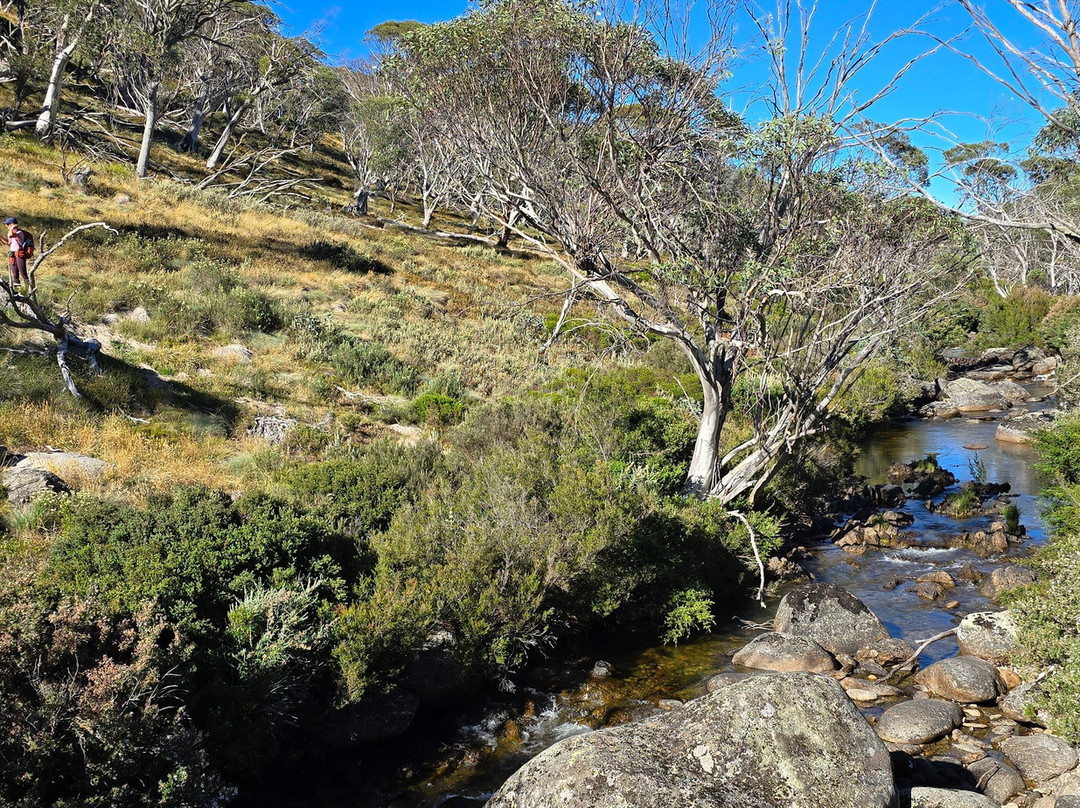 GirlsTrek-布里斯班必去景点