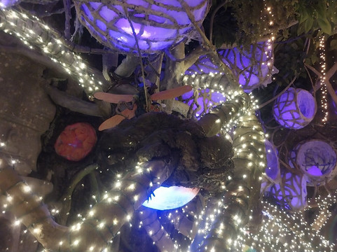 Dreamwalk Park-奥勒姆必去景点