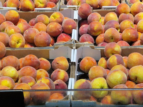 Bunbury Farmers Market-班伯利必去景点