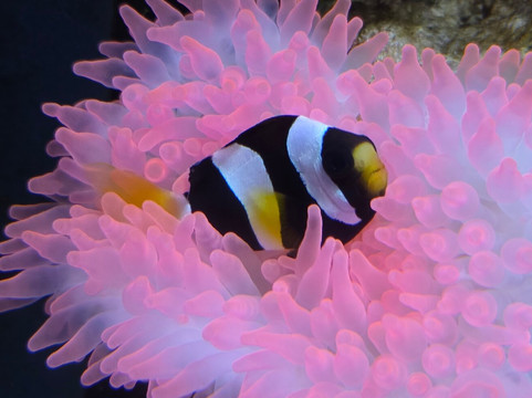 Aquarium du Limousin-利摩日必去景点