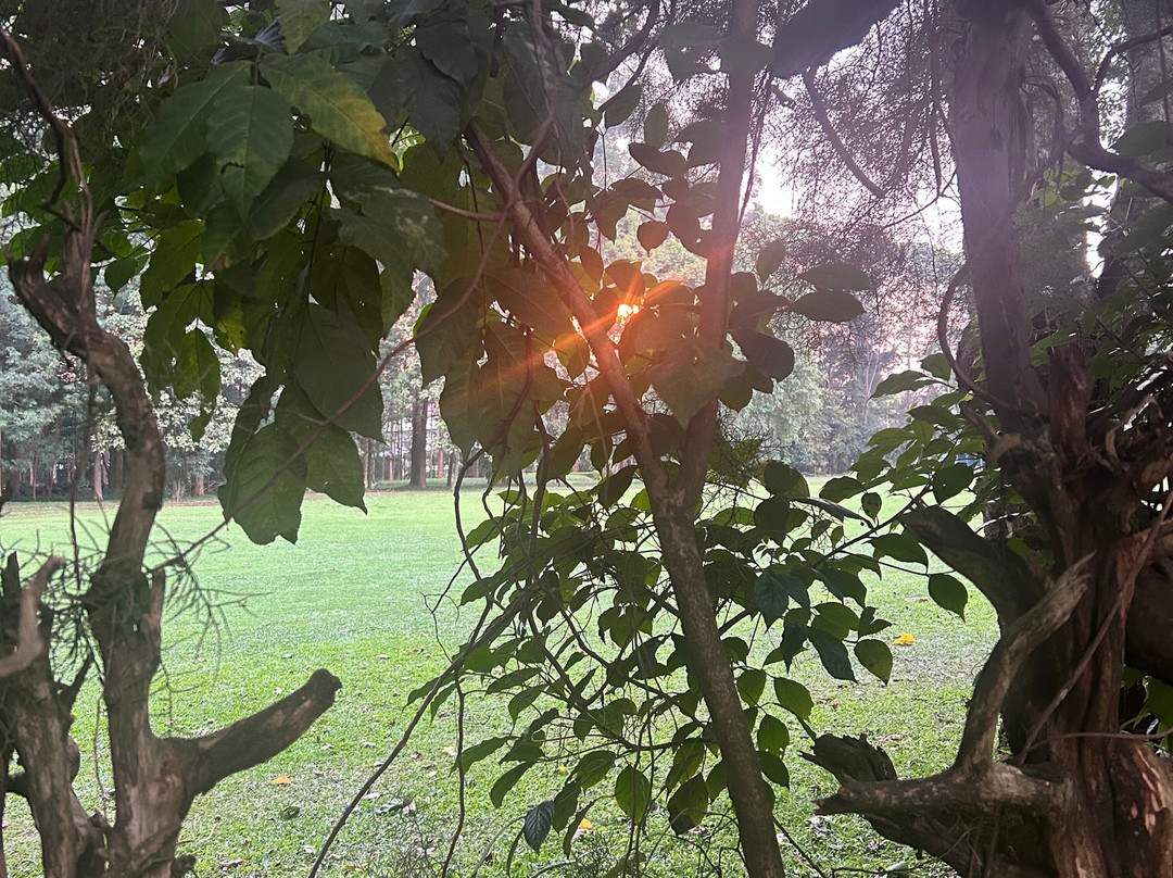 卡卡梅加高尔夫酒店主图