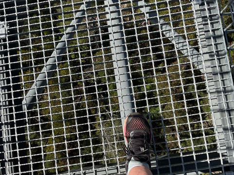 Tahune Adventures-Geeveston必去景点