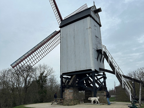 Windmills of Bruges-布鲁日必去景点