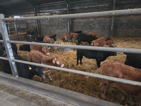 Newton Farm Holidays & Tours主图