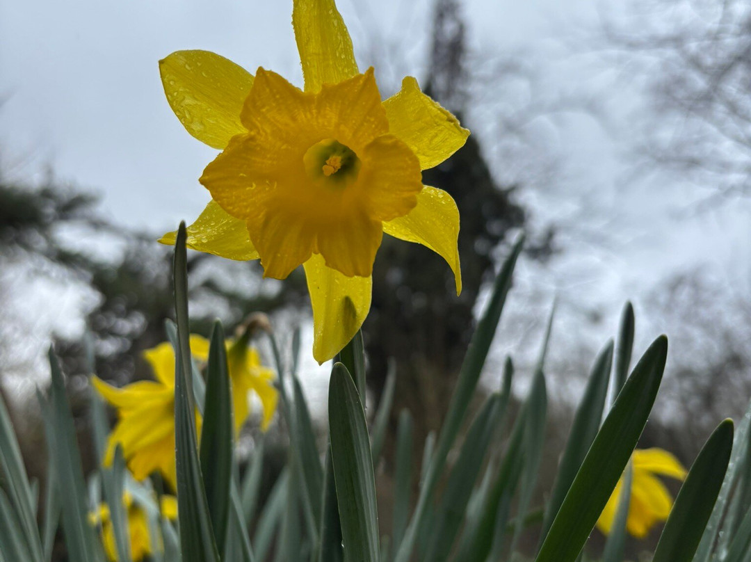 Myddelton House Gardens-恩菲尔德必去景点