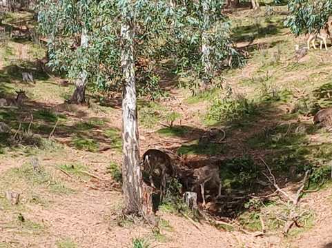 La Reserva del Castillo de las Guardas-塞维利亚必去景点