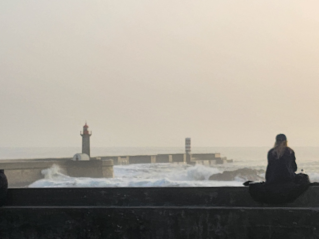 Porto City Tuk-Senhora da Hora必去景点